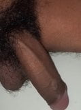 growing penis snapshot 8