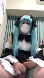 Miku, Cosplay snapshot 11