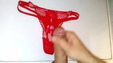 cumming on ex-girlfriends panties 2 snapshot 5