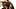 フェニックス・マリー+ナチョ・ヴィダルの素晴らしいシーン、顔射、アナルノンストップ、飲み込む、おかしい、良い大きなお尻、巨乳、巨根、ティーザー＃1