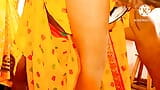 Bhabhi saree sex with hindi gand chudai snapshot 13