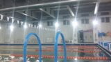 Dia de natacion snapshot 8