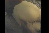 BBC cums on white tranny ass... snapshot 5