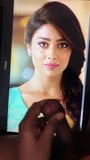 Shriya Saran con omaggio # 1 snapshot 6