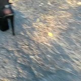 Lady L Walk. (Versiune scurtă video) snapshot 5