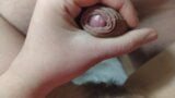 Fucking hairy pussy my wife snapshot 1