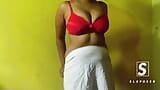 Sri Lanka adolescente muestra sus grandes tetas snapshot 4