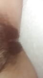 Hairy Indian Pussy Exposed snapshot 1