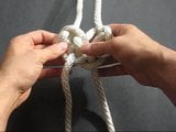 Challenge Knot snapshot 8