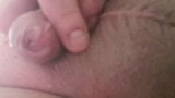 My small Cock snapshot 4