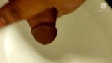 Ashu san masturbation the Toilet snapshot 7