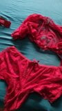 New Christmas lingerie for my wife snapshot 3