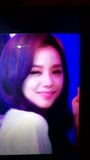 Blackpink Jisoo Cum Tribute snapshot 2