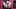 Ніколь дю папійон демонструє свої неймовірно величезні статеві губи в сексуальних високих рожевих чоботях