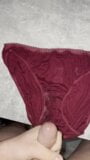 Cuming on my stepmoms worn panties snapshot 7