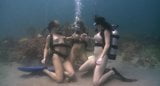 Tre ragazze scuba snapshot 20