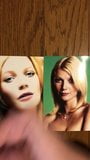 Tribute Gwyneth Paltrow snapshot 6