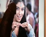 tribute to asin- indian actress snapshot 1