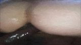 Reemplazó el tapón de princesa de esta milf con mi polla - realmilfd snapshot 5