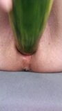 Ftm masturbates hairless noisy pussy with a cucumber close up. snapshot 7