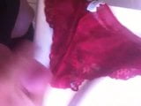 Culotte de ma femme snapshot 6