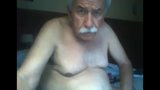 Farfar slår på webbkamera snapshot 10