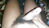 Showing hairy big Indian cock , hard cumshot snapshot 2