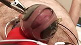 Estim Chastity Cage - 7inch dick stuffed into a one inch estim cage. Hands free orgasm snapshot 2