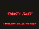 ginger lynn panty raid snapshot 1