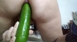 Gran Pepino snapshot 2