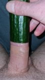 Horny cucumber play sloppy snapshot 1