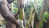 Man all alone In the Forest and make the plantain tree is wife and Fuck on it snapshot 5