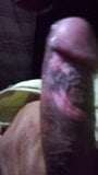 Pene Gordo snapshot 10