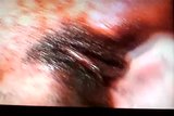 10 minutes of orgasm squirt snapshot 15