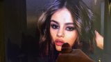 Selena Gomez tribute snapshot 5