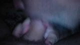 Blowjob mit sperma snapshot 2