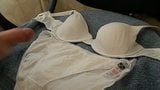 Cumming on size 14 white panties and 34B Bra snapshot 2