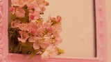 KANA NISHINO sakura i love you snapshot 1