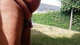 Pee and precum in the garden snapshot 1