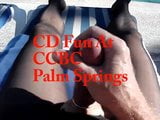 ccbc palm springs에서의 Cd 재미와 정액 snapshot 1