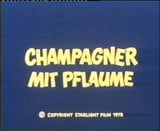 vintage 1978 - Champagner Mit Pflaume snapshot 1