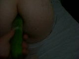 Pepino (cucumber) anal snapshot 2