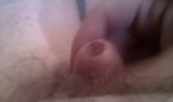 Masturbate very tiny dick with monkey spanker! snapshot 1