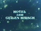 Hotel zum Geilen Hirsch snapshot 1