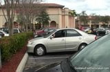 Grocery Store Stroker snapshot 2