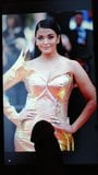 Aishwarya rai cannes cum tribute snapshot 2