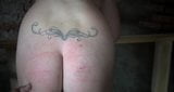 Hard Spanking and Caning snapshot 12