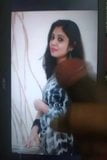 Veena Nandhakumar hete pik eerbetoon snapshot 7