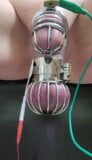 Locktober cum from cbt estim in chastity and ball cage snapshot 9