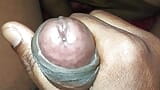 Desi indian big cock snapshot 8